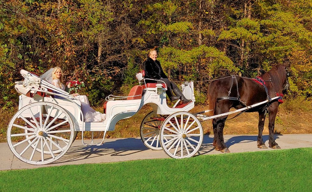 Chattanooga Horse Drawn Funeral Carriage Arrangements