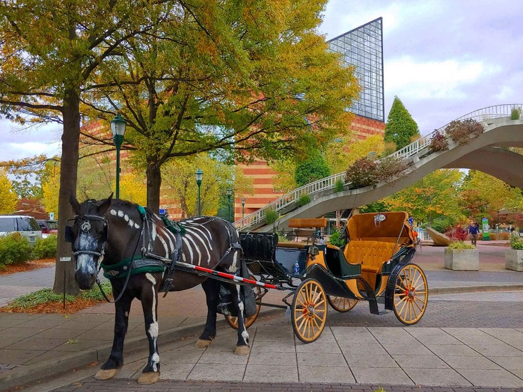 Chattanooga Haunted Carriage Rides