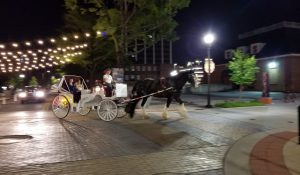 Chattanooga Wedding Carriage Rides