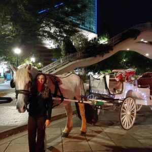 30 Minute Downtown Chattanooga Carriage Ride