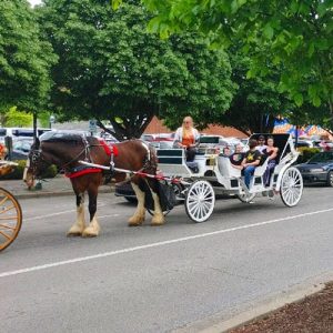 Chattanooga's Only Horse Drawn Limo Carriage Rides