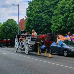 Chattanooga's Only Horse Drawn Limo Carriage Rides