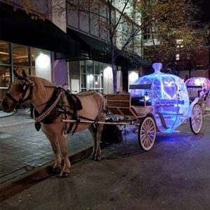 Chattanooga Cinderella Carriage rides