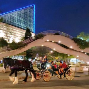 Chattanooga Tennessee Horse Drawn Carriage Rides and Wedding Services