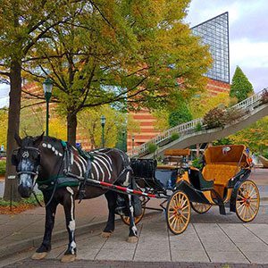 Chattanooga Haunted Tours - Haunted Horse Drawn Carriage Rides