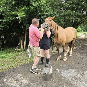 riding-lessons